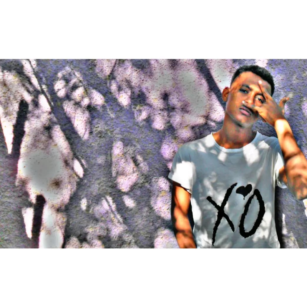 ||ᴍs||