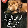 abbas khan