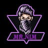 Gaming with Mr Nim