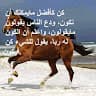 ahmad alhwyr