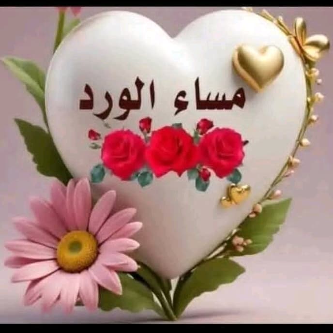 ابومحمد شاهين