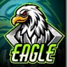 Eagle S k gaming