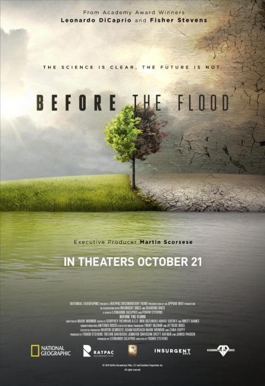 Before the Flood [Indonesian]