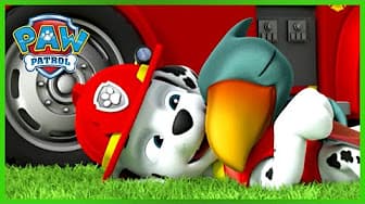 PAW Patrol Season 2 - New Pup TRACKER and Jungle Rescues!