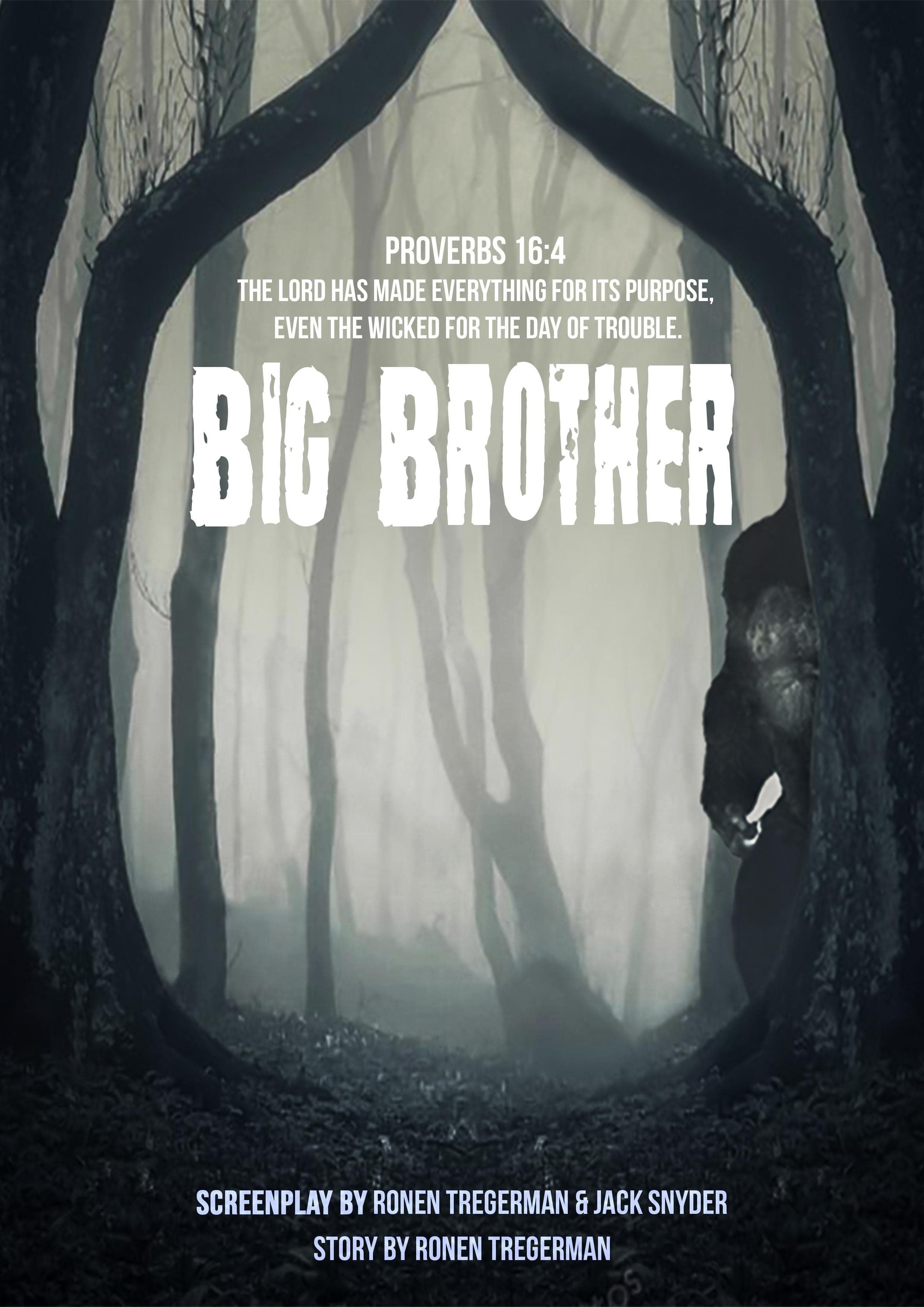 Big Brother [Hindi]