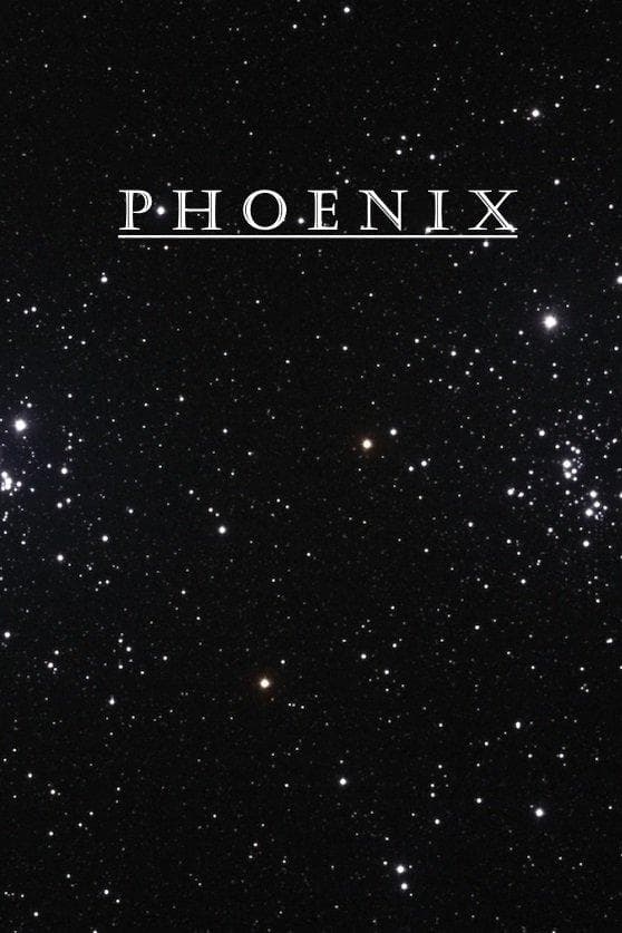 Phoenix [Malayalam]