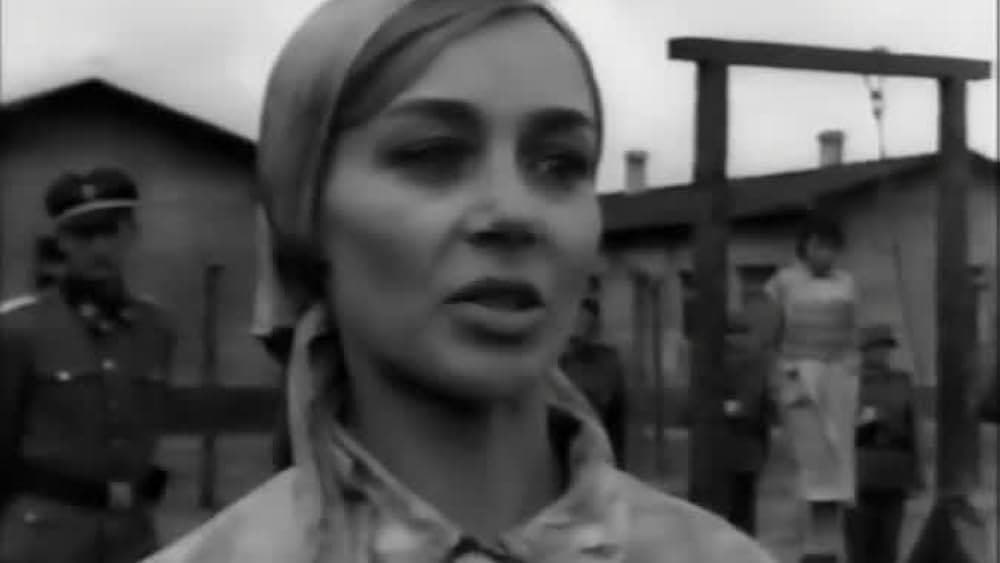 Didi Perego