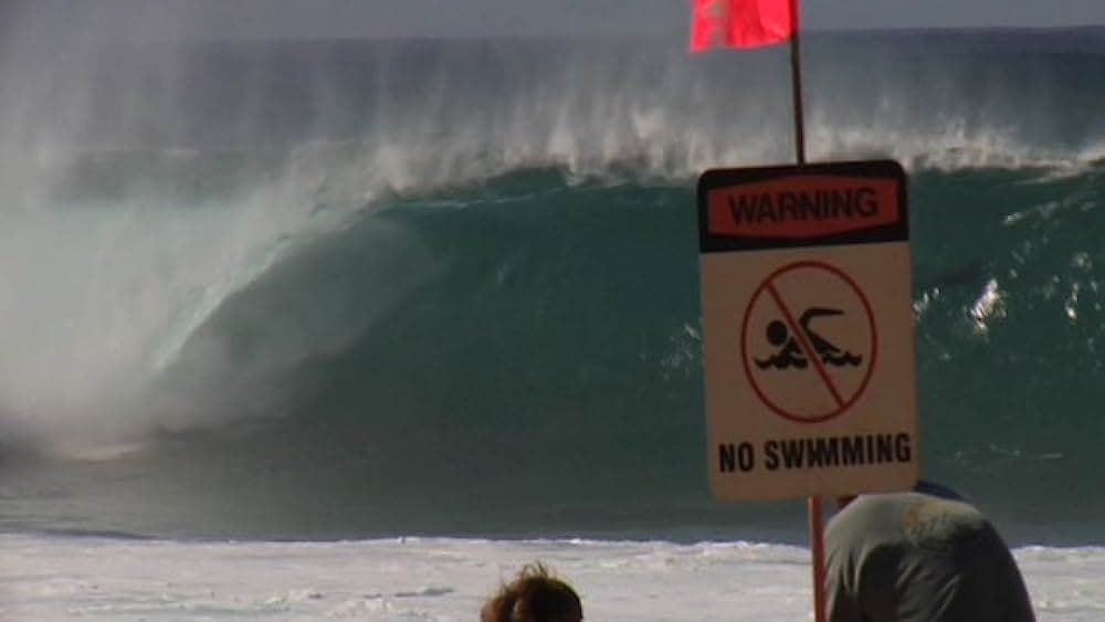 Taylor Knox