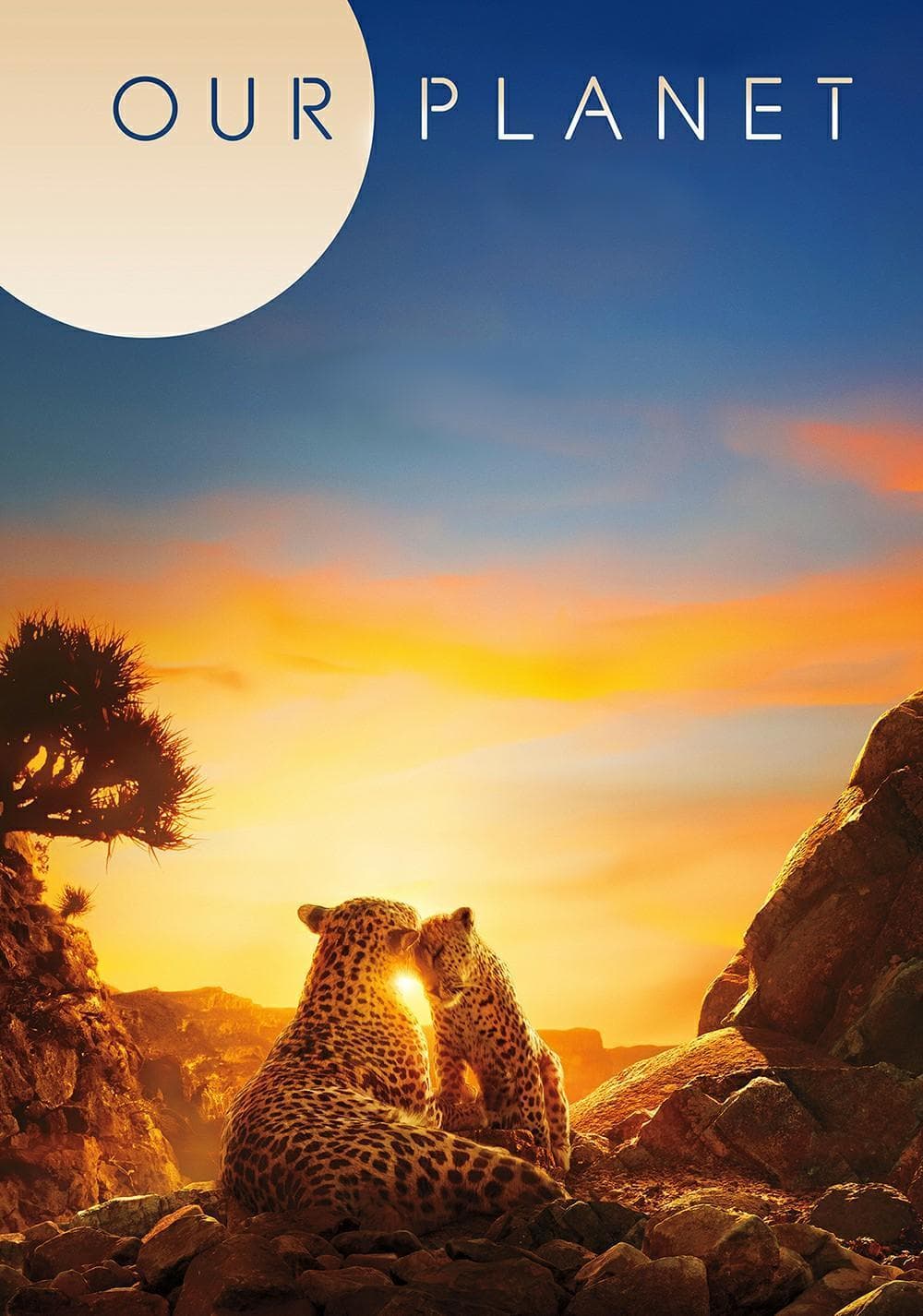 Our Planet [ترجمة عربية] S1-S2