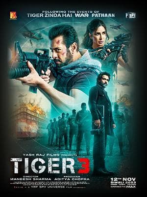 Tiger 3 [Hindi]