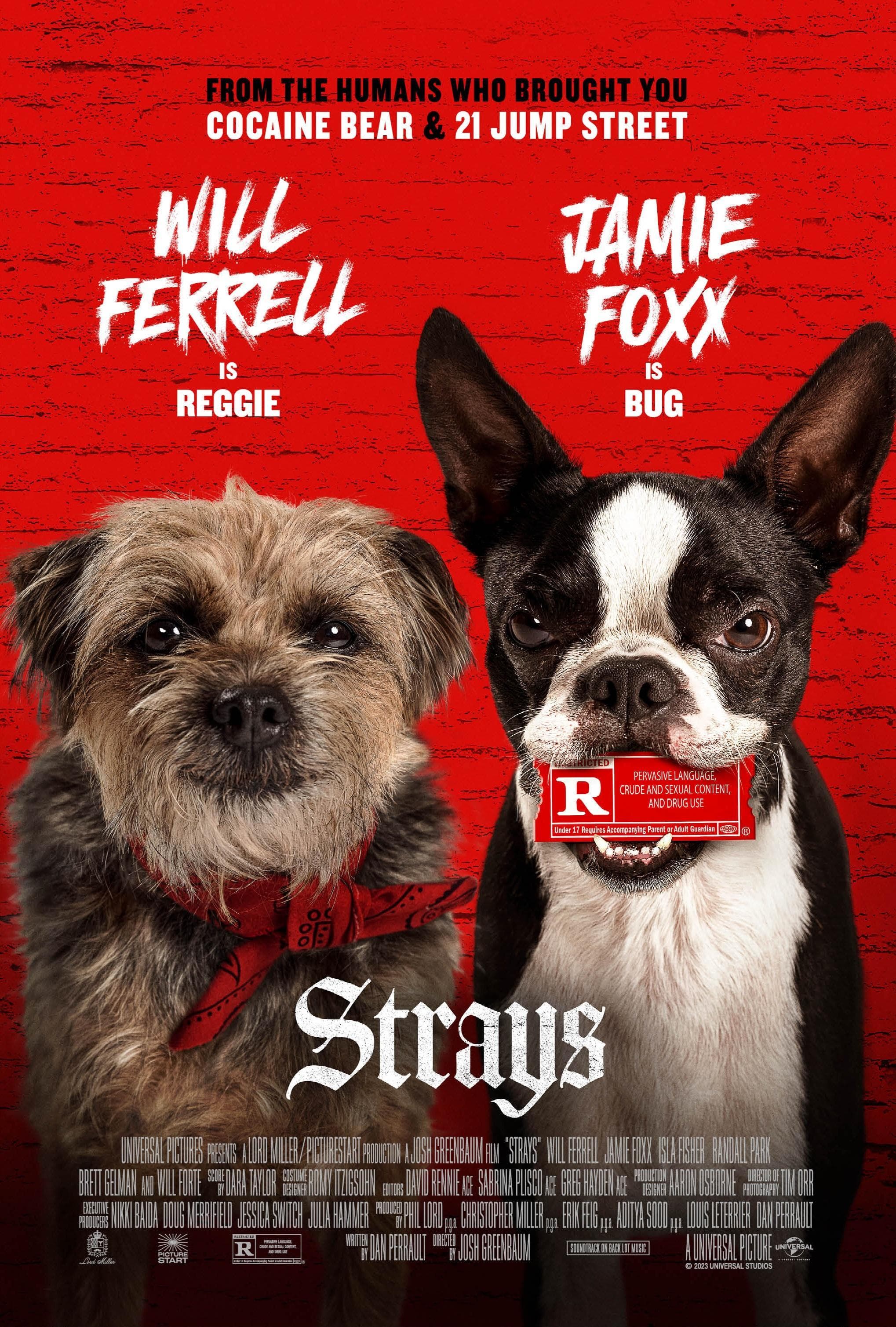 Strays [Hindi]