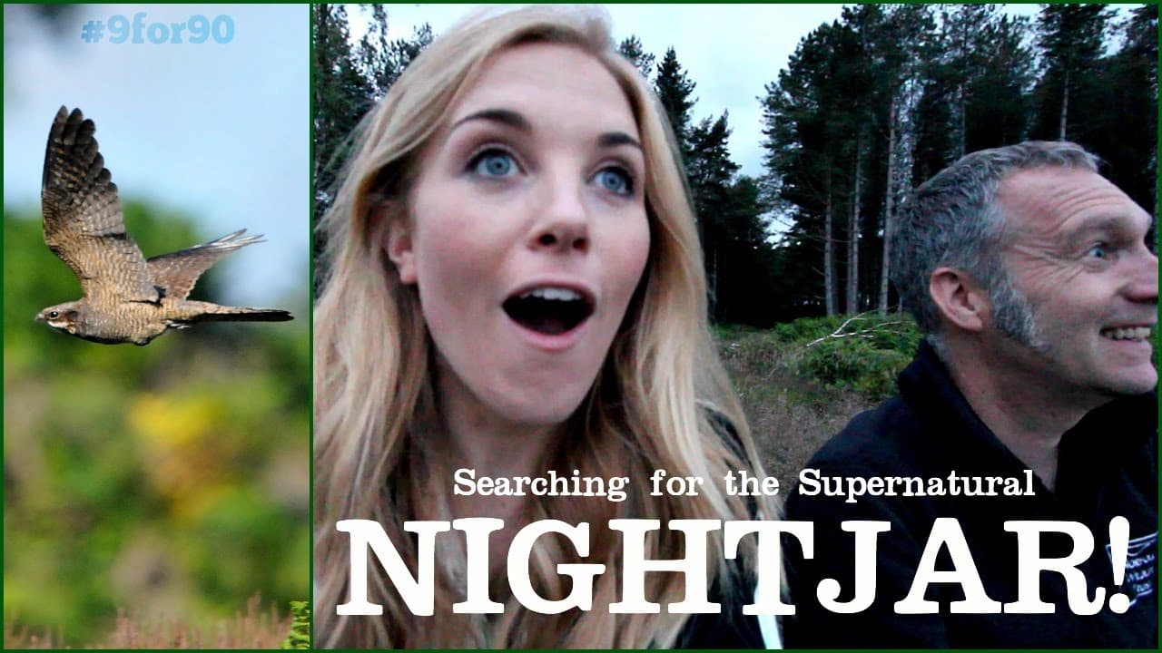 Searching for.... | Wildlife Vlog Series!