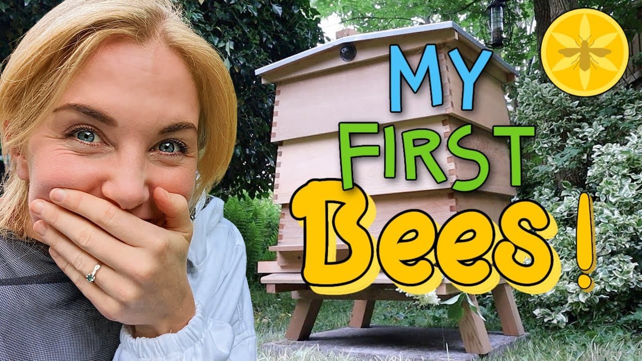 Beekeeping with Maddie