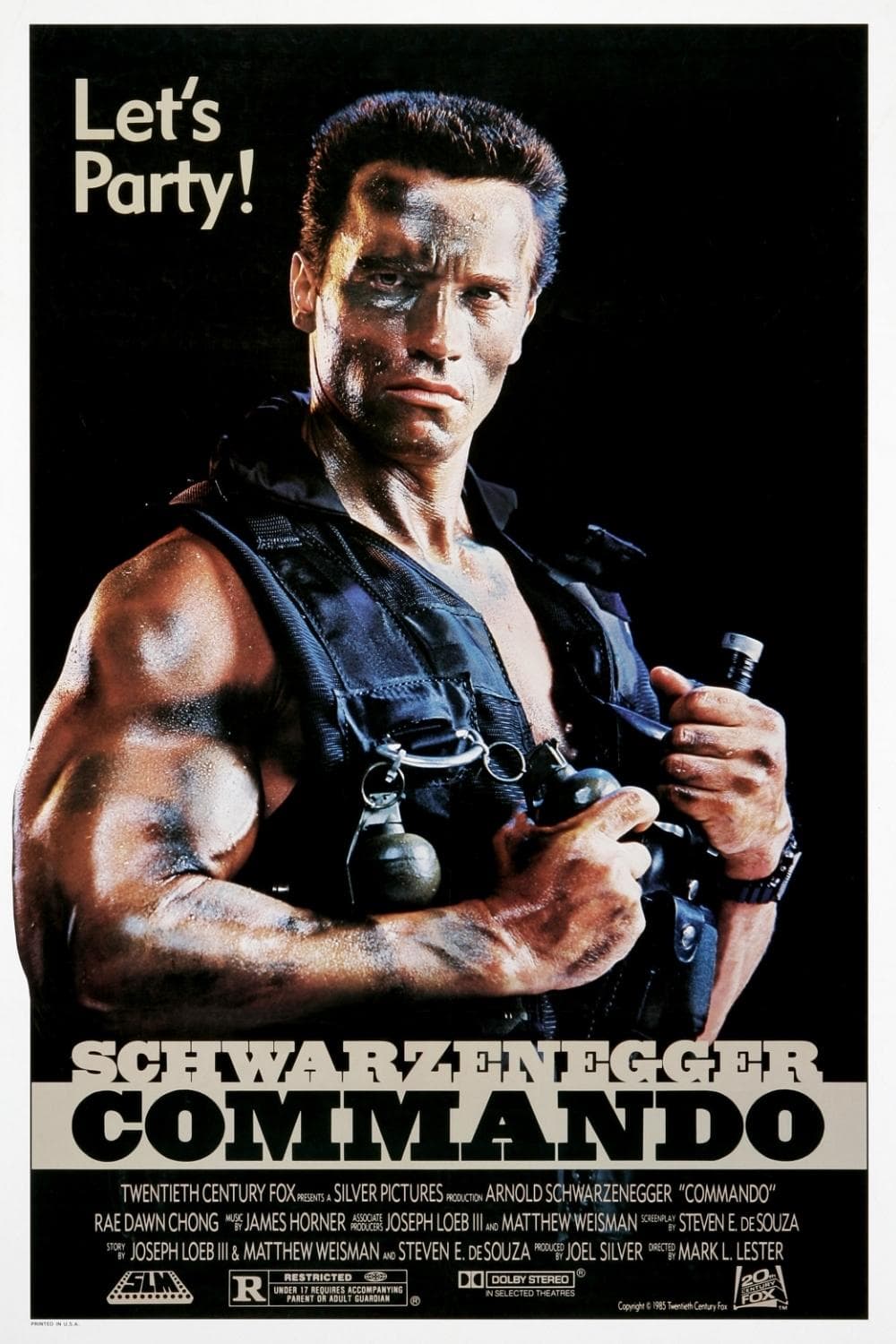 Commando [Hindi]