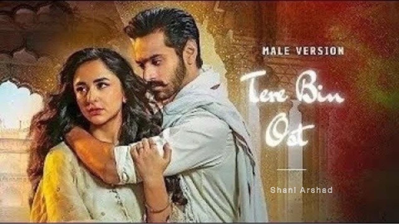 Tere Bin OST 🎶- Lyrics (Urdu & English) - Male Version - Shani Arshad