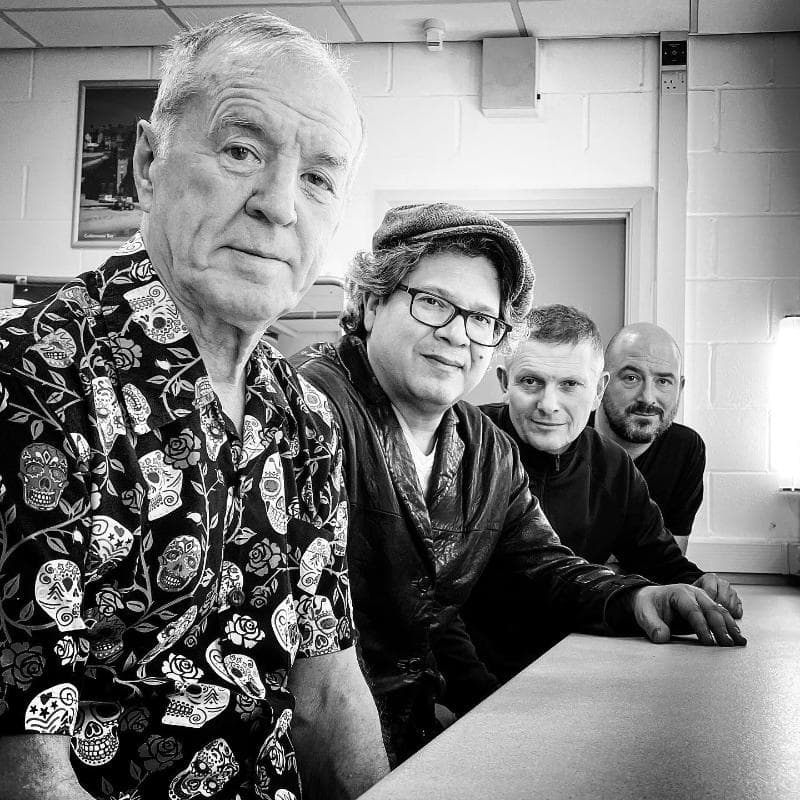 The Animals