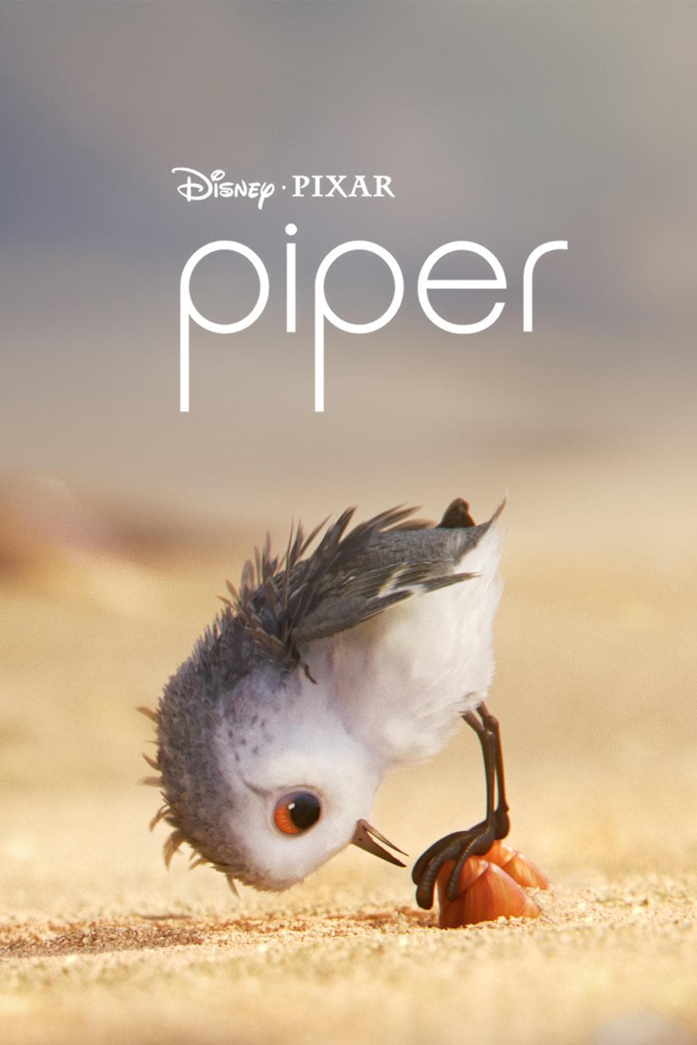 Piper [ترجمة عربية]