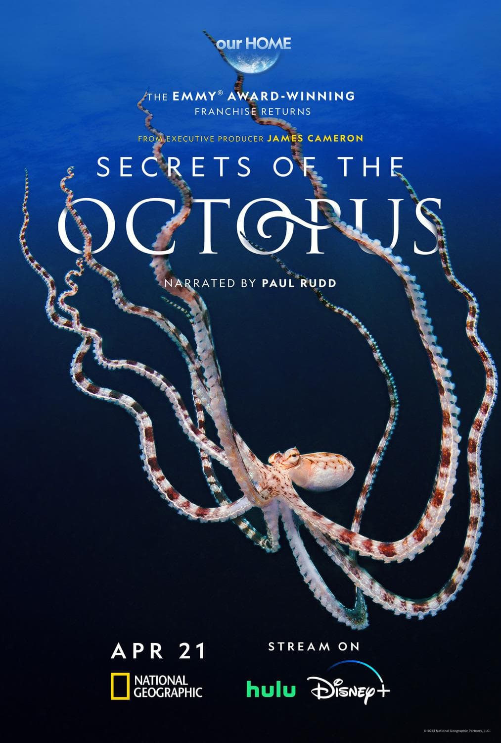 Secrets of the Octopus [Indonesian]