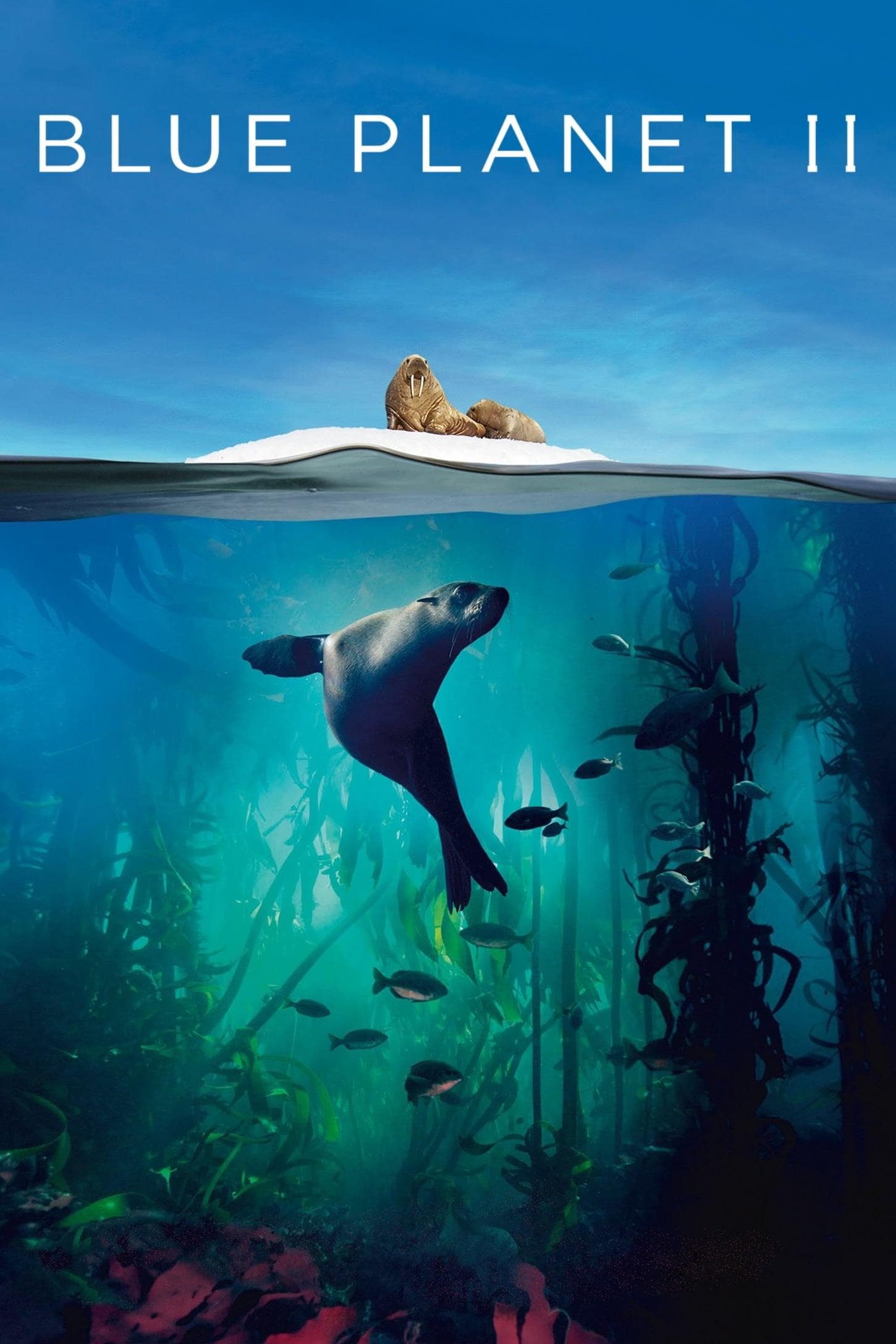 Blue Planet II [Kurdish]
