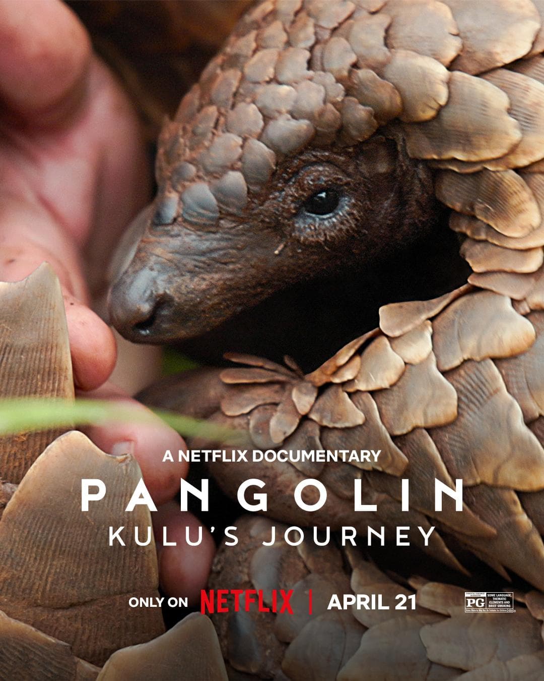 Pangolin: Kulu's Journey [Hindi]