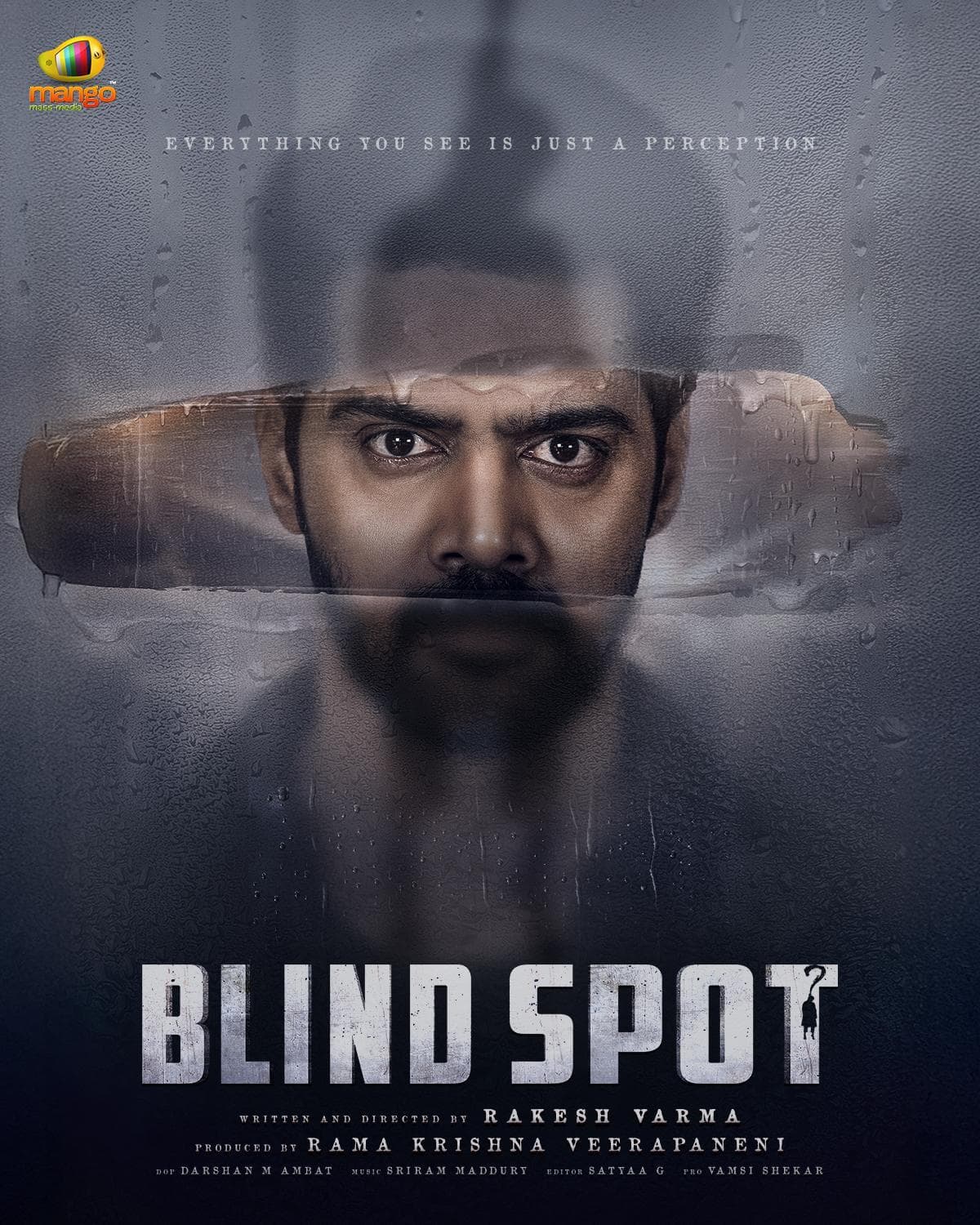 Blind Spot [Hindi]