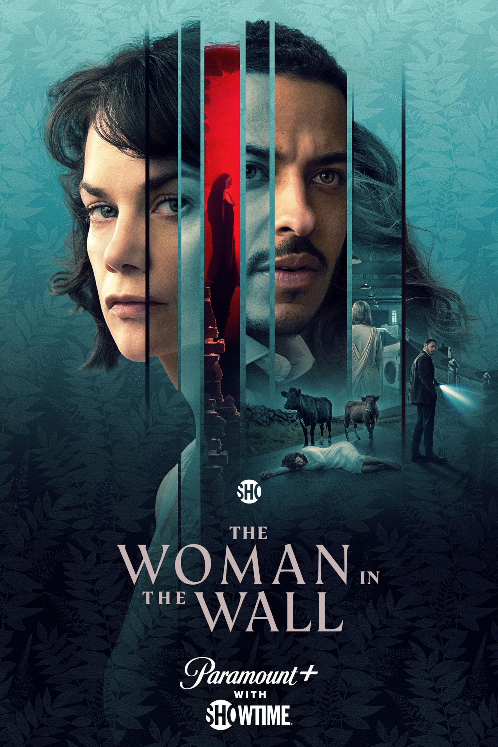 The Woman in the Wall [Spanish]