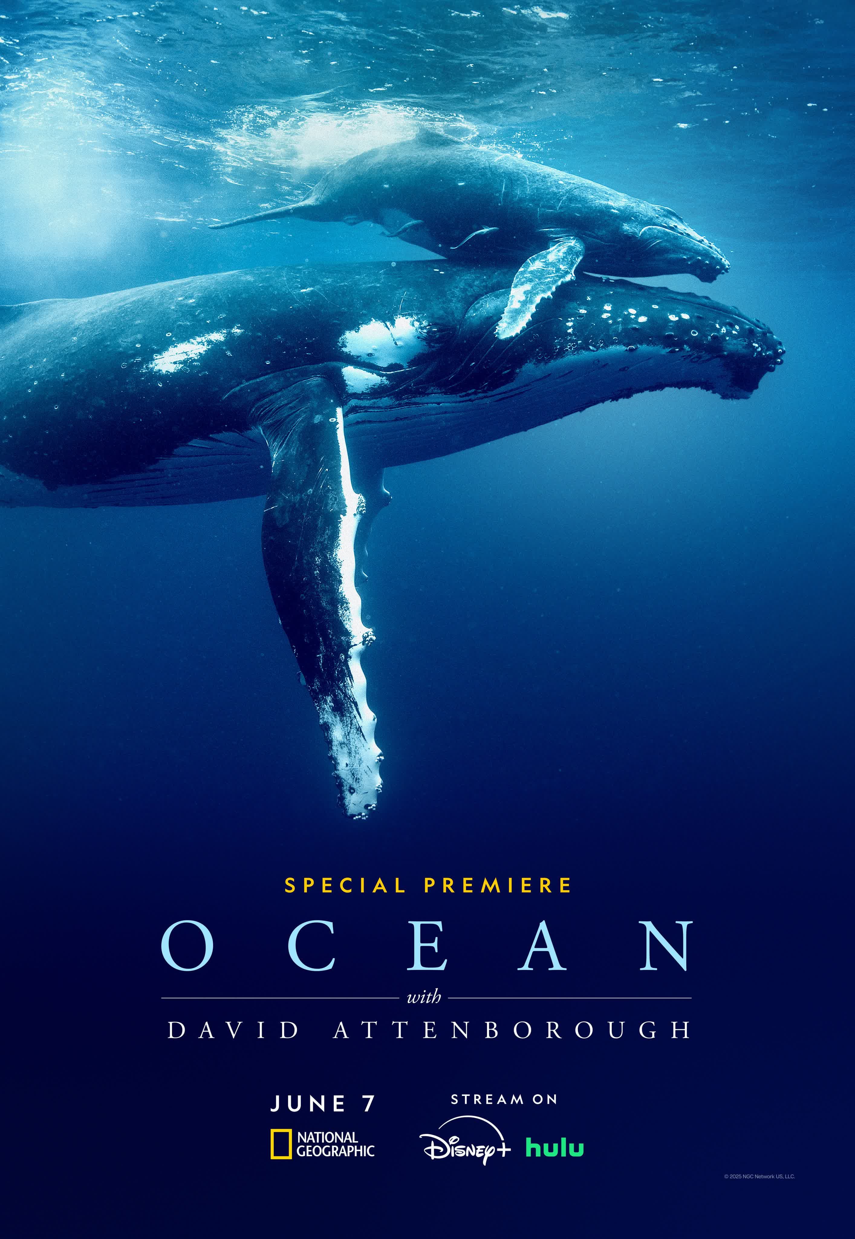 Ocean with David Attenborough [Russian]