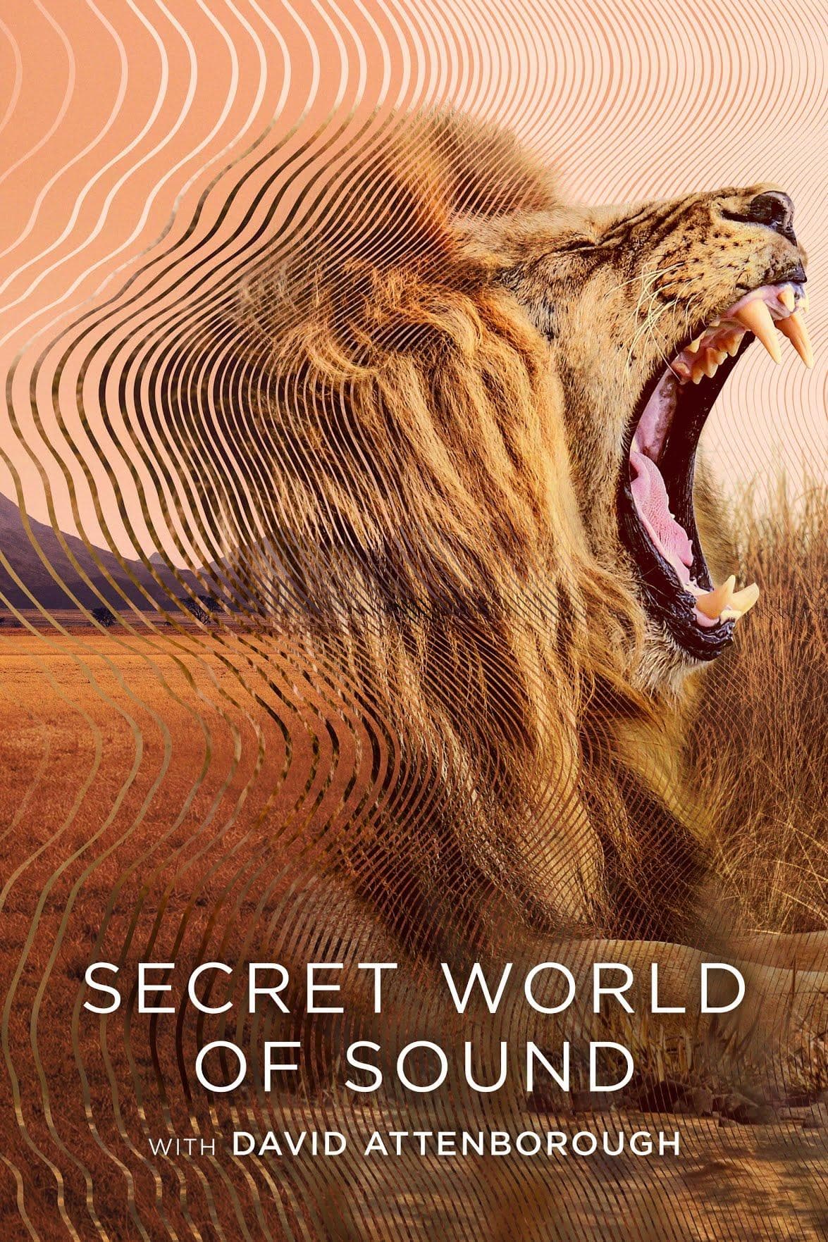 Secret World of Sound with David Attenborough [Russian]
