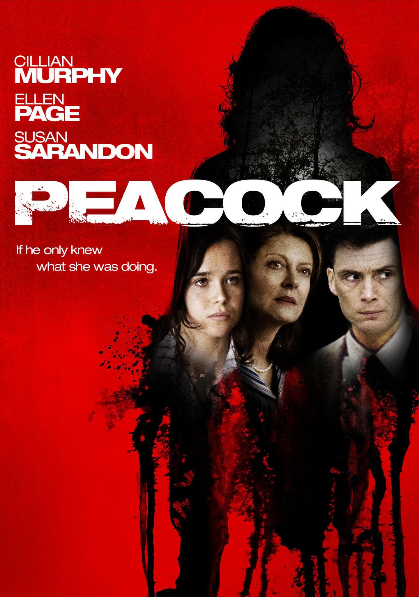 Peacock [Spanish]