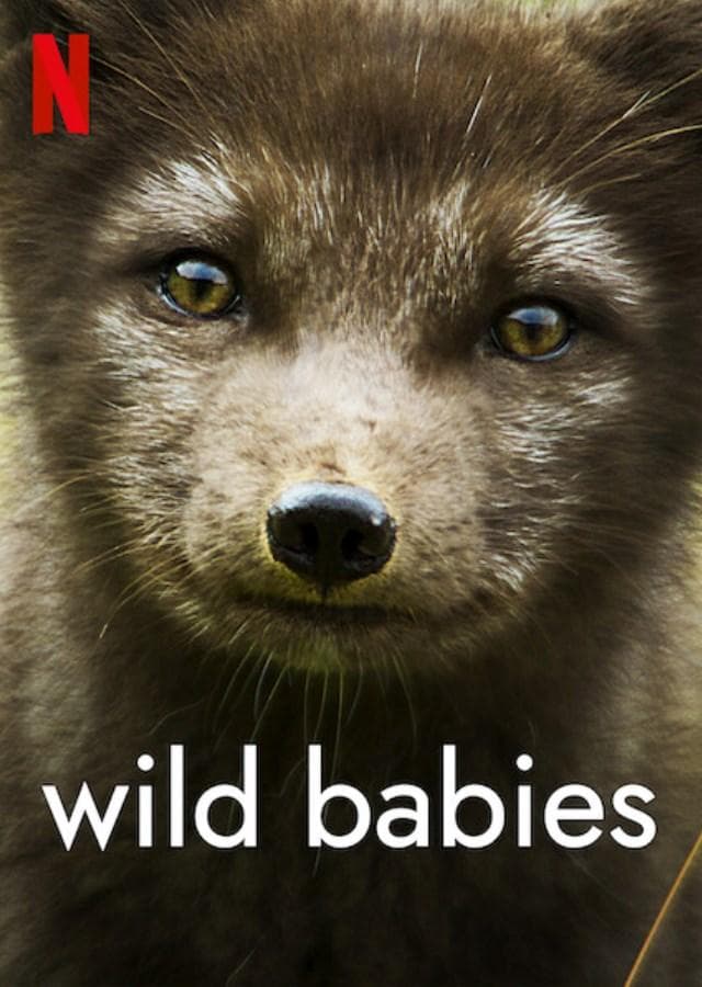 Wild Babies [Russian]
