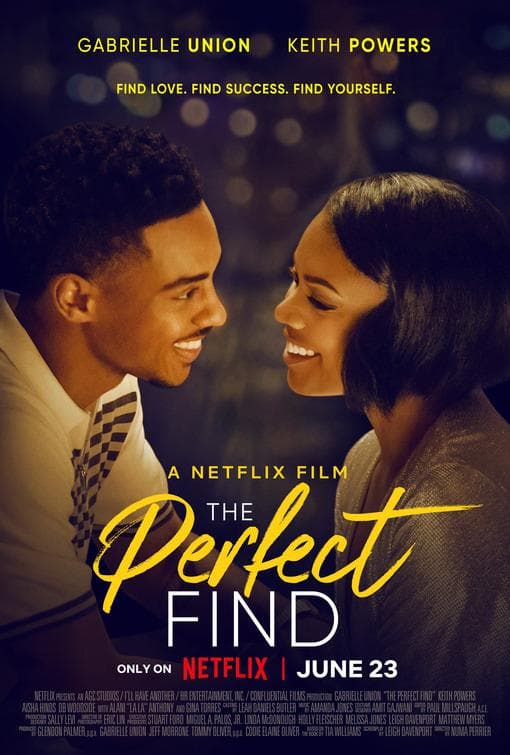 The Perfect Find [Spanish]