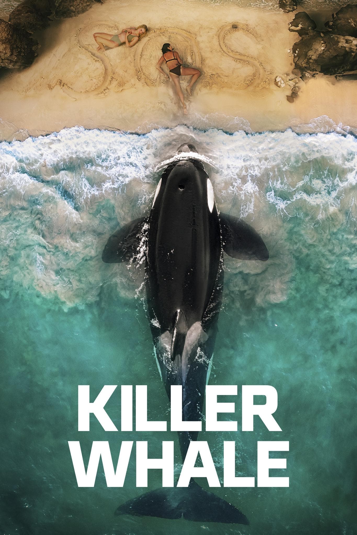 Killer Whale [Version française]
