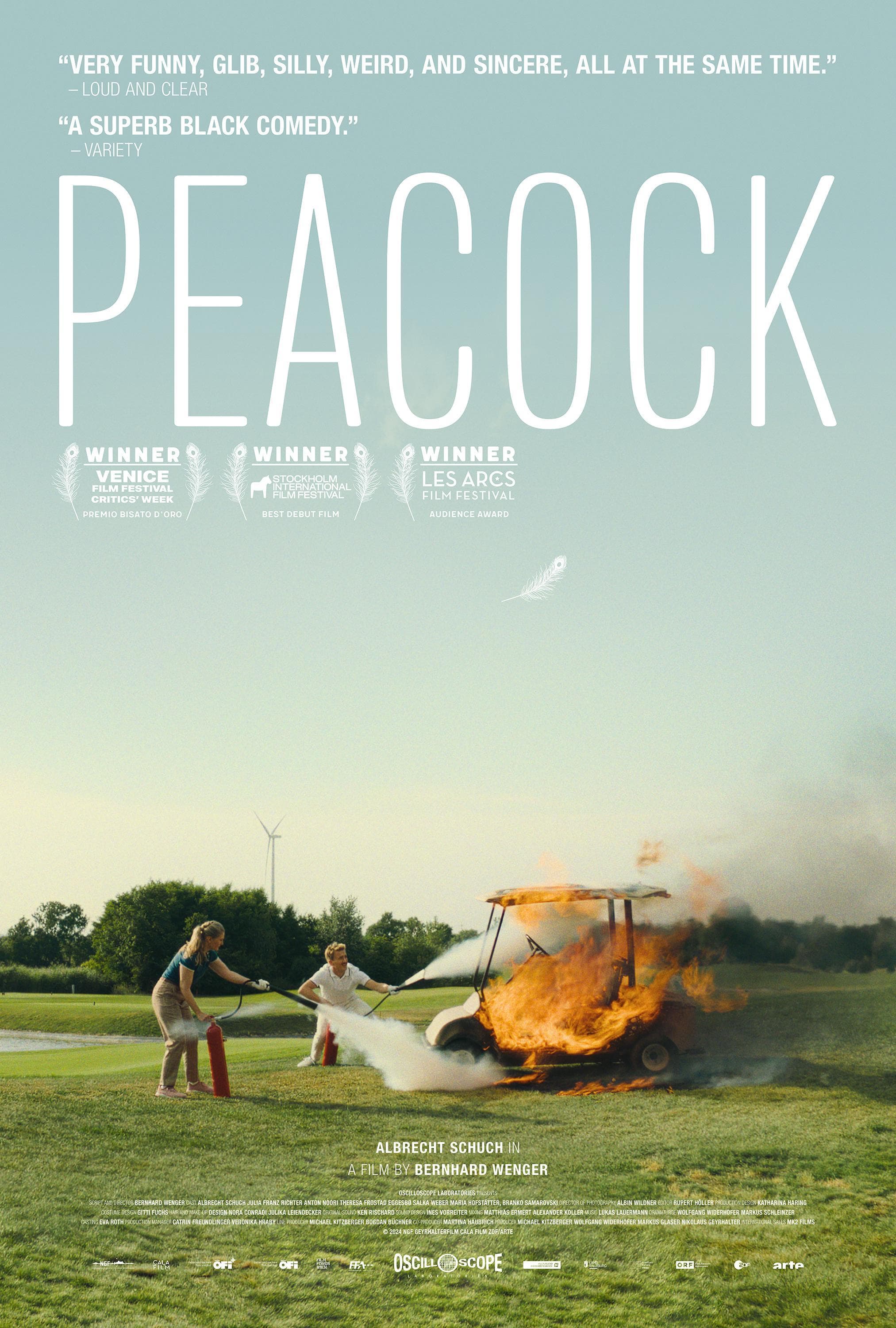 Peacock [Indonesian]