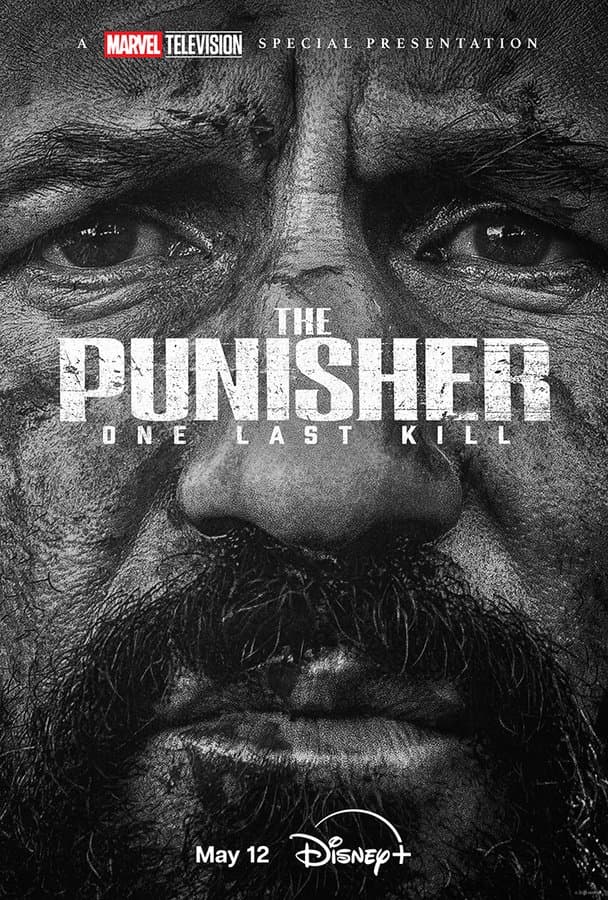 The Punisher: One Last Kill [Portuguese]