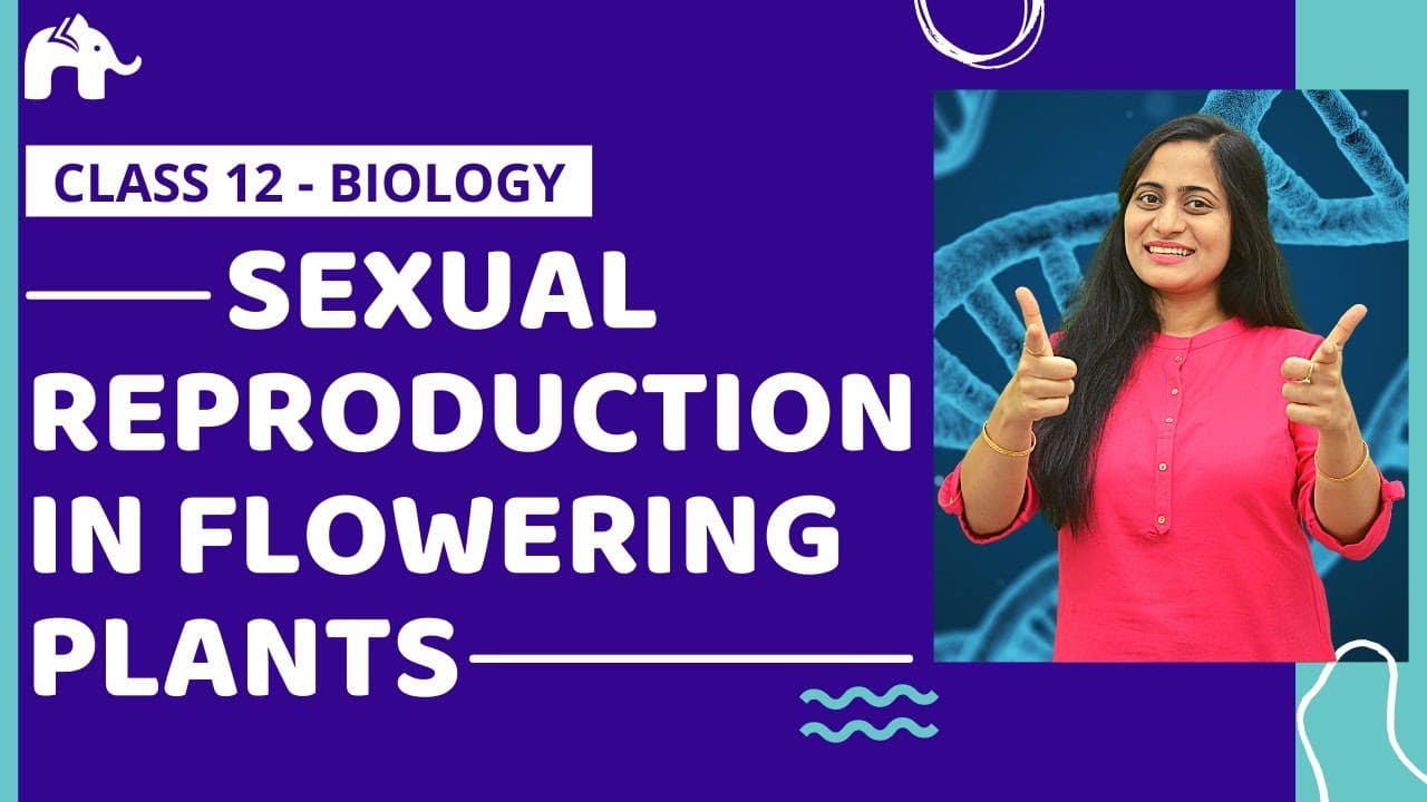 Class 12 Biology One Shot Videos by Roshni Ma'am | CBSE NEET | Best videos with animation | New NCERT book#SabkoSamajhAayega