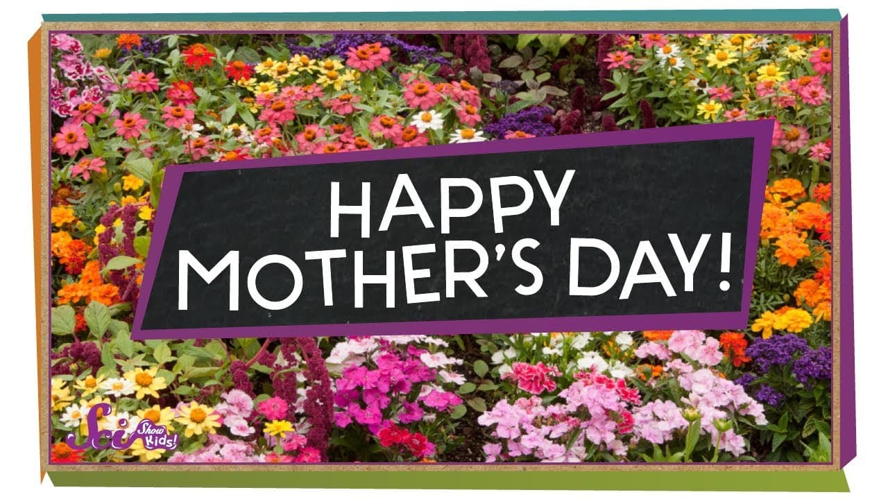 Happy Mother's Day! - SciShow Kids
