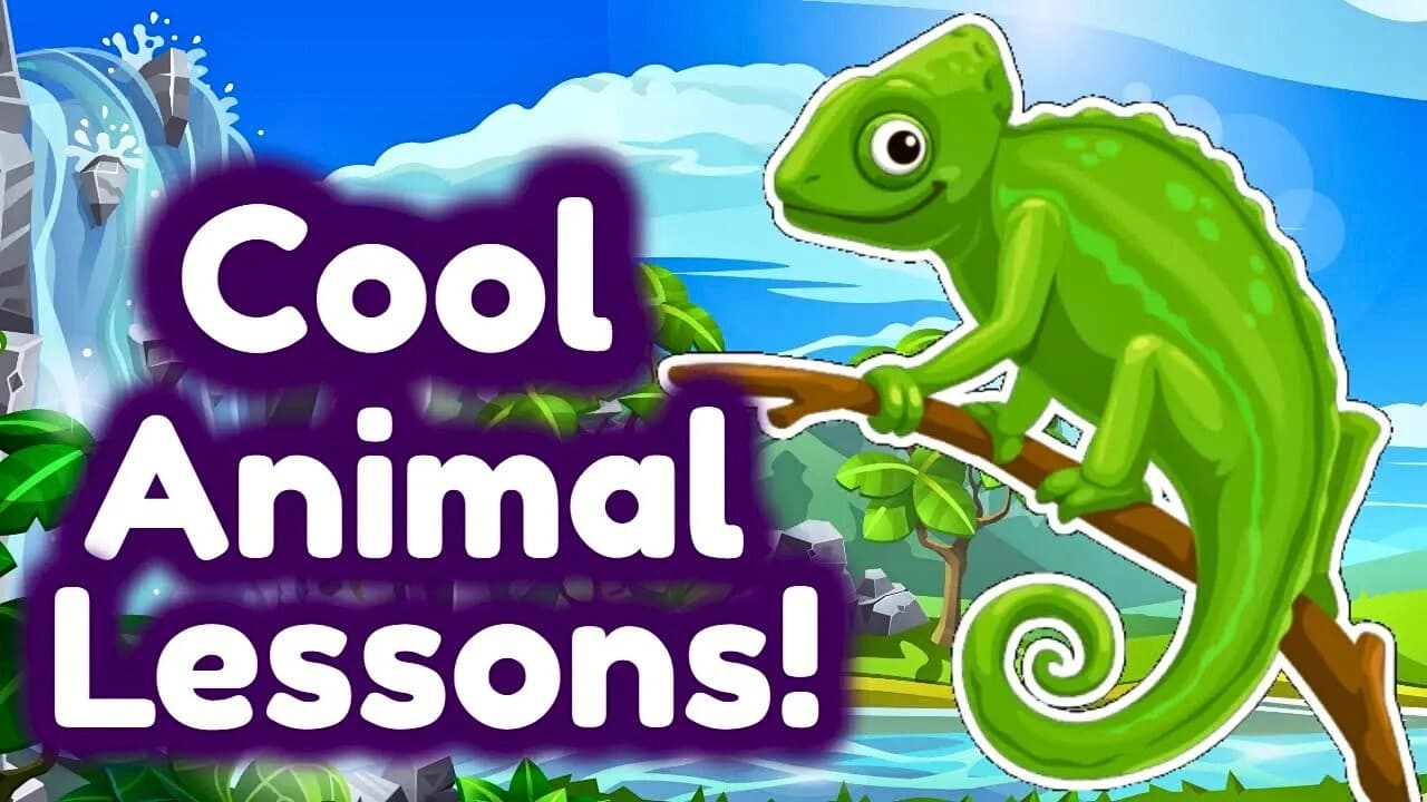 Animal Learning Videos for Kids