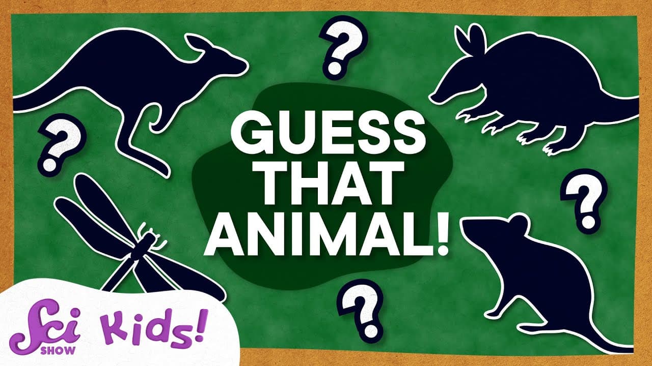 Awesome Animals! | SciShow Kids