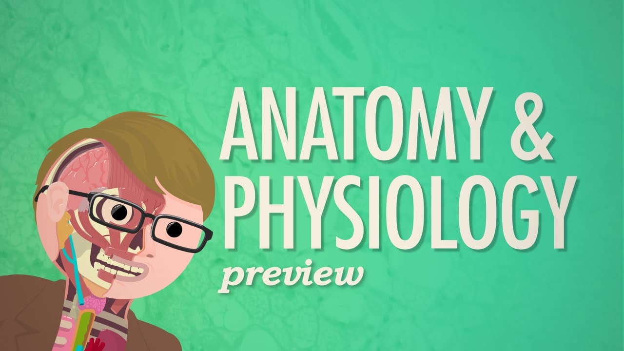Anatomy & Physiology