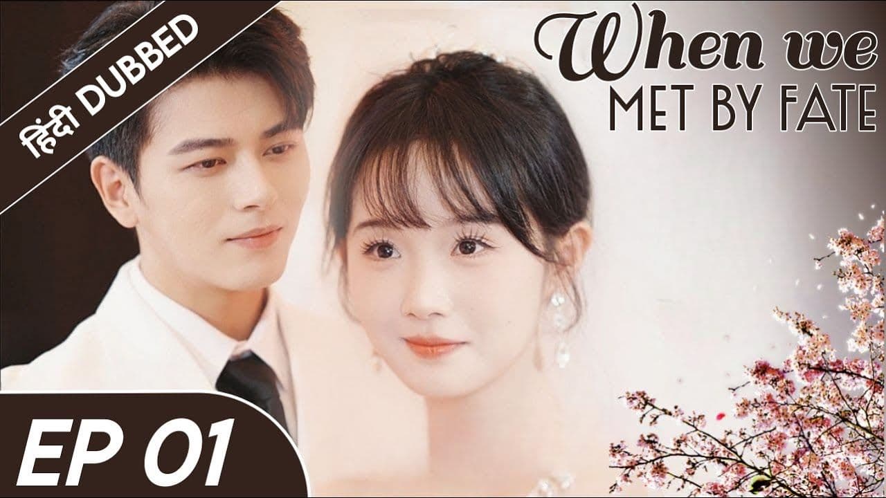 when we met by fate [Hindi]
