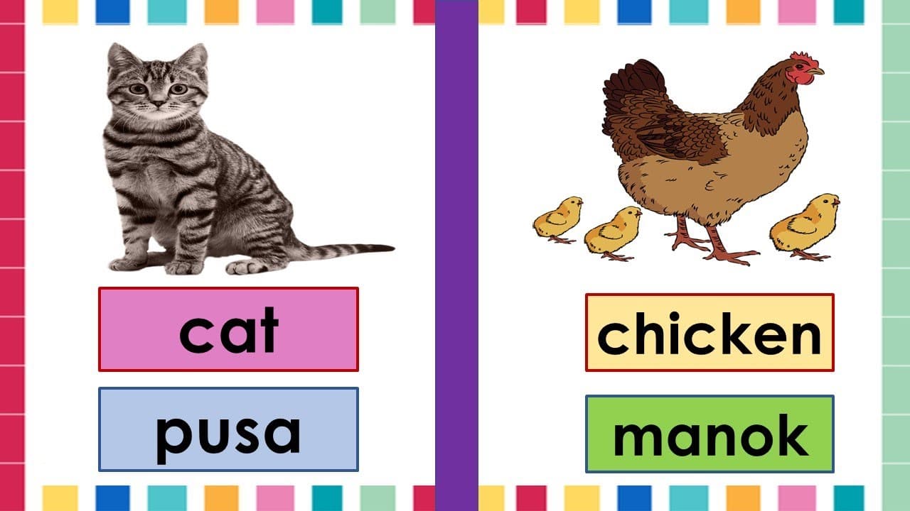 Animals
