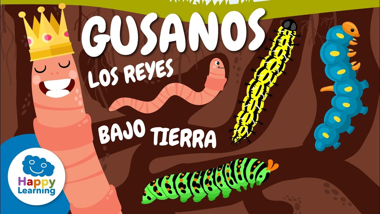 Animales Invertebrados para Primaria | Aprende Ciencias Naturales