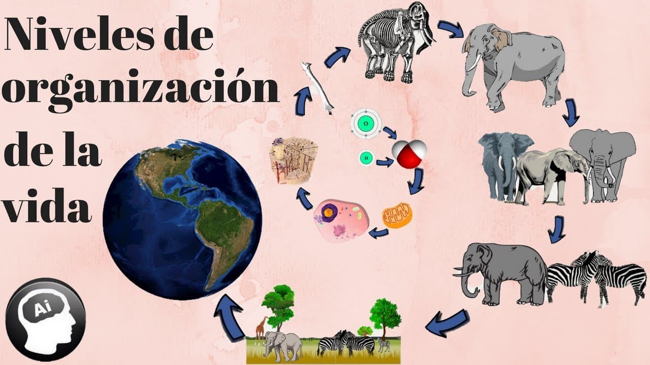 Temario Biología