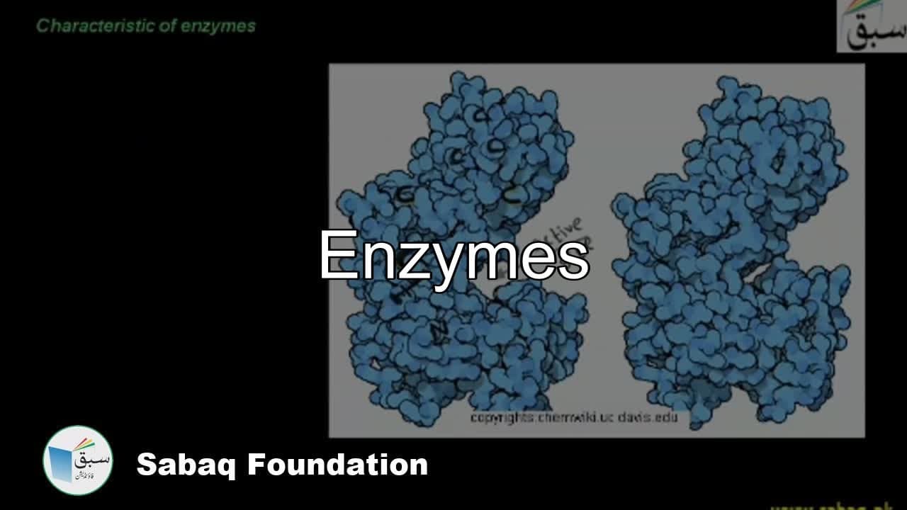 Class 11 Chapter: Enzymes