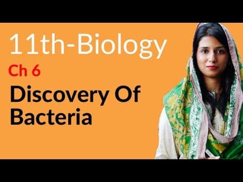11th Class Biology Chapter 6 - 1st Year Biology Chapter 6 Kingdom Prokaryotae (Monera) - FSc Part 1 Biology Chapter 6