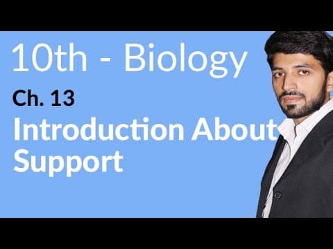 10th Class Biology Chapter 13 - Class 10 Biology Chapter 4 Support and Movements - Biology Class 10 Chapter 13
