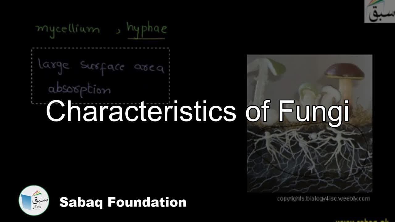 Class 9 Chapter: Fungi and Algae