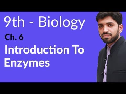 9th Class Biology Chapter 6 Enzymes