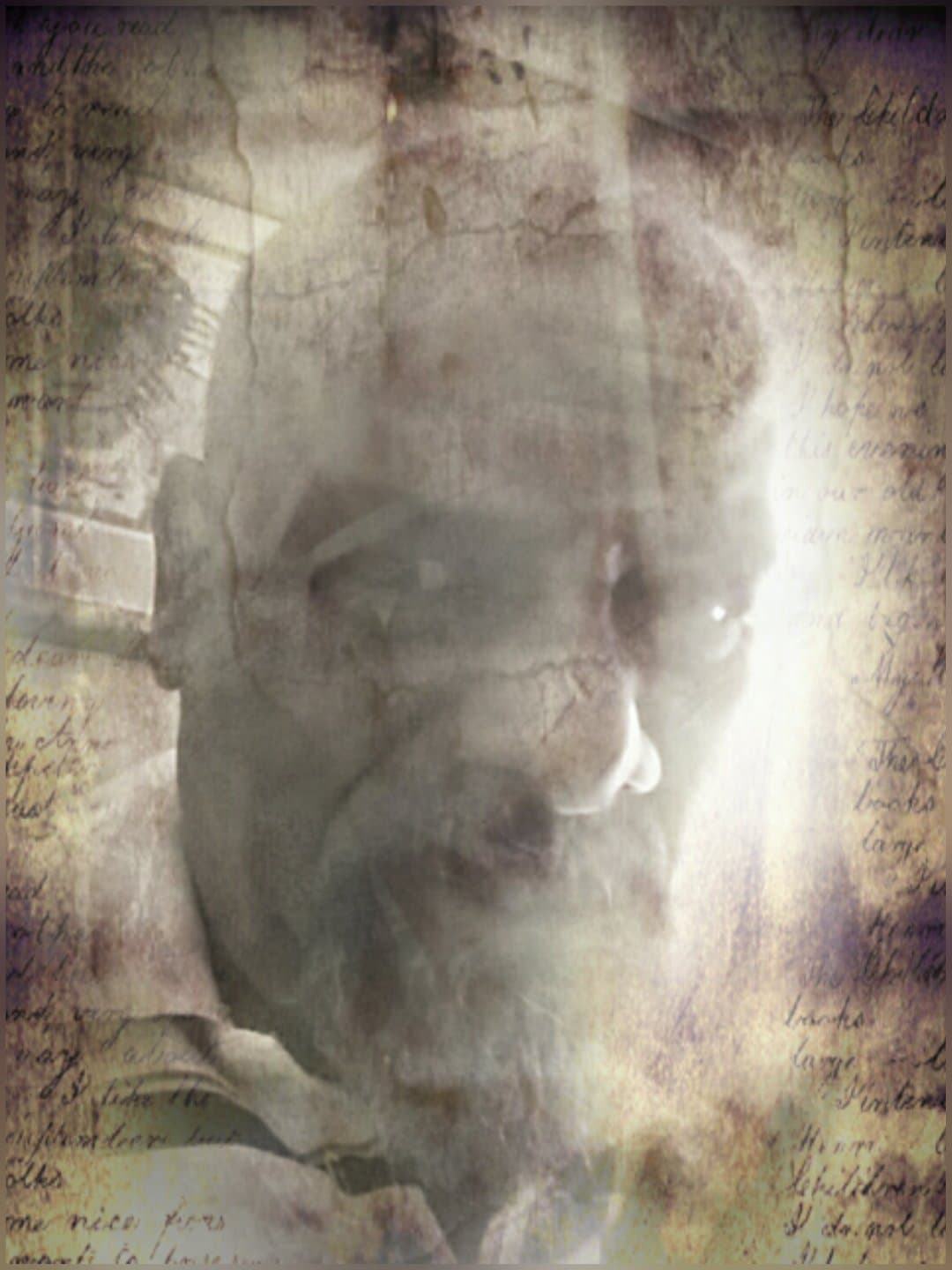Robert J. Metoyer