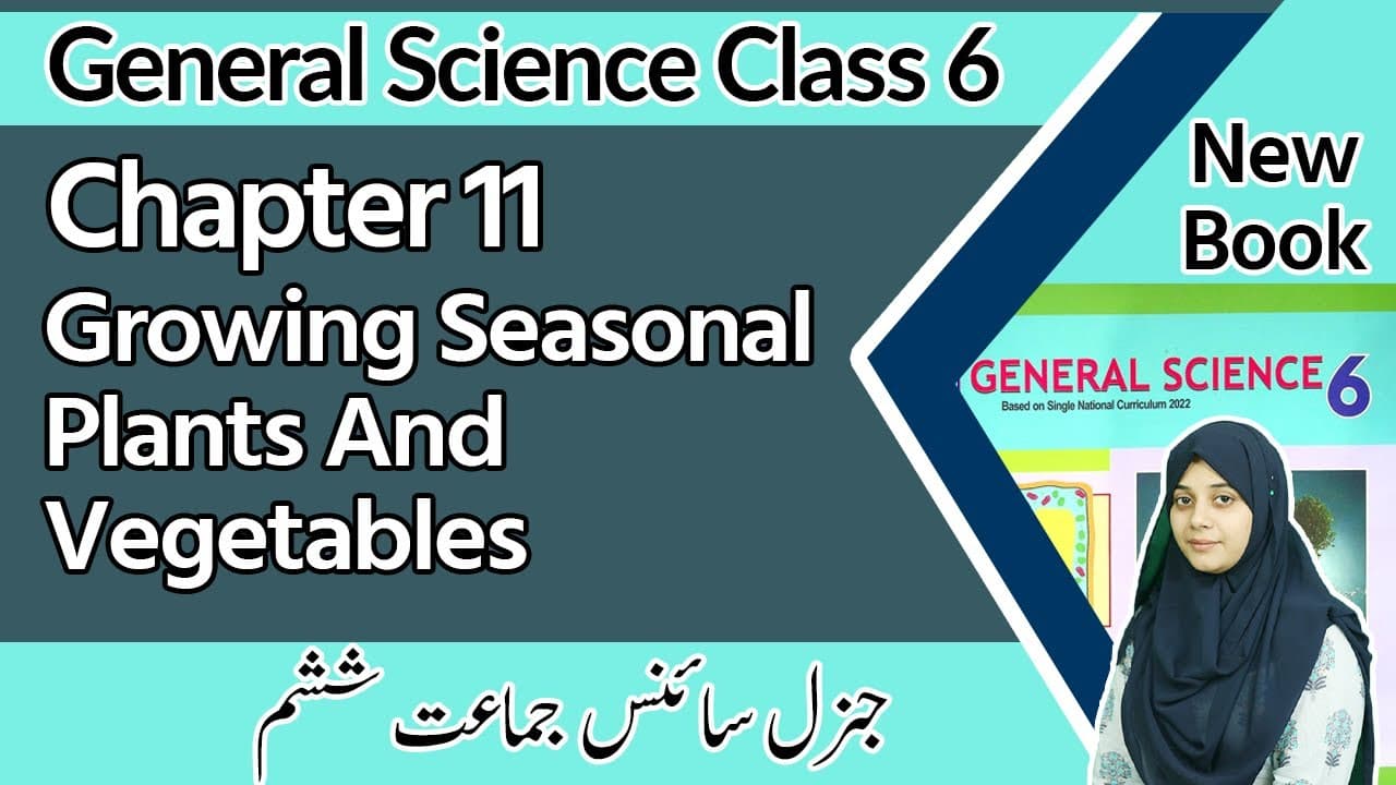 6th Class Science Chapter 11 - Technology in Everyday Life - Class 6 General Science Chapter 11 - SNC 2023 - PTTB